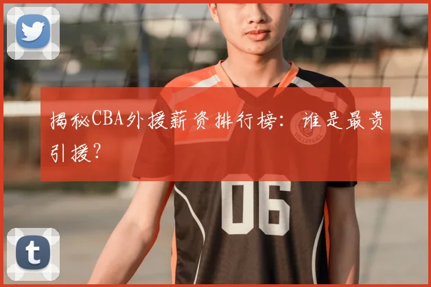 揭秘CBA外援薪资排行榜：谁是最贵引援？