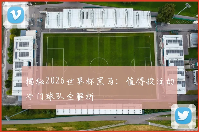 揭秘2026世界杯黑马：值得投注的冷门球队全解析